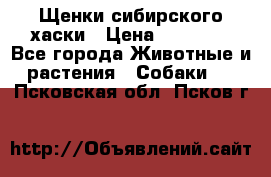 Щенки сибирского хаски › Цена ­ 12 000 - Все города Животные и растения » Собаки   . Псковская обл.,Псков г.